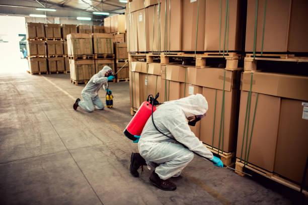 Best Mosquito Control Services  in Danbury, CT