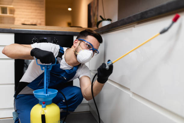 Best Pest Removal Services  in Danbury, CT