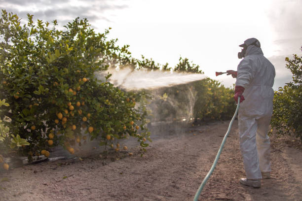 Danbury, CT Pest Control Company
