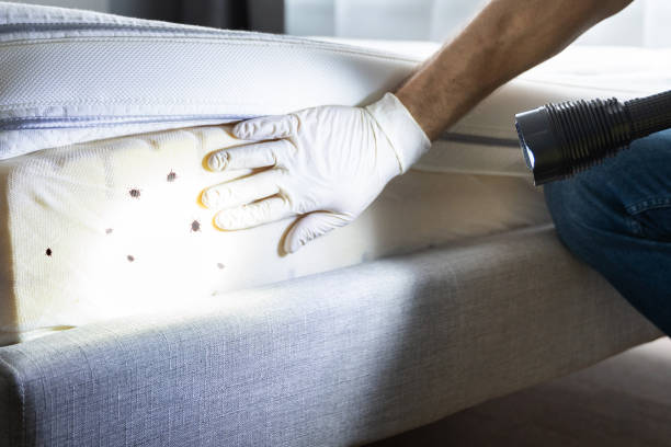Best Best Pest Control Companies  in Danbury, CT