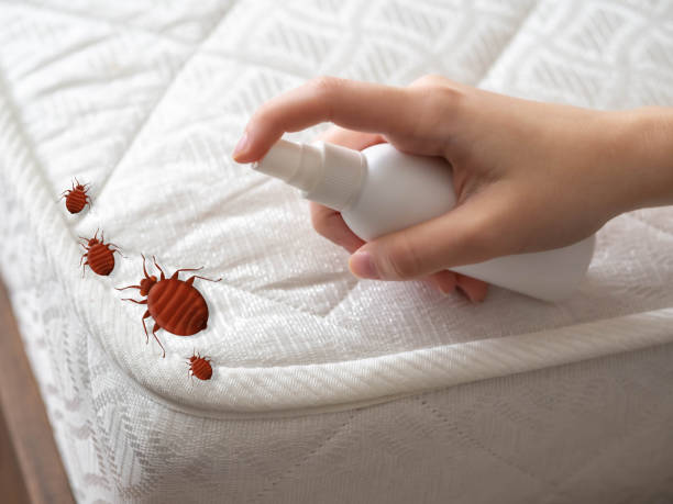 Best Pest Control Near Me  in Danbury, CT
